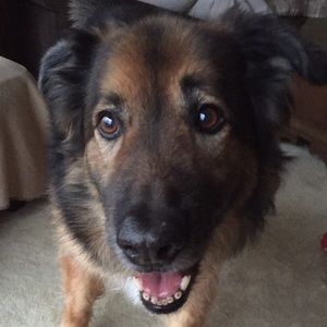 Meet your Posher, Thea