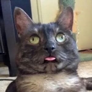 Meet your Posher, Ellie