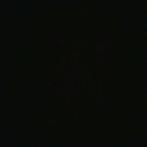 Meet your Posher, Janell