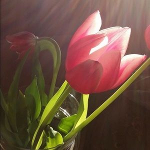 Meet your Posher, Isabel