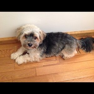 Meet your Posher, Lisa