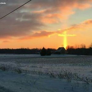 Meet your Posher, Dakota