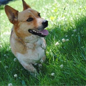 Meet your Posher, Sara