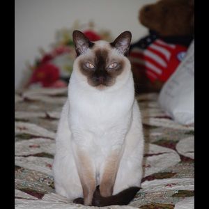 Meet your Posher, Joanne