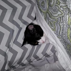 Meet your Posher, Debbie