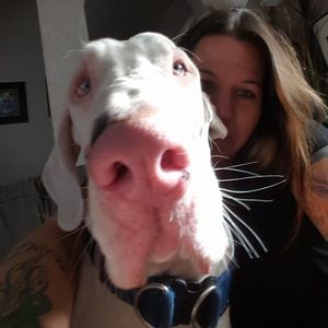 Meet your Posher, Natasha