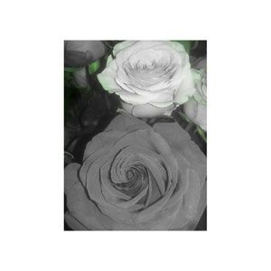 Meet your Posher, Isabella