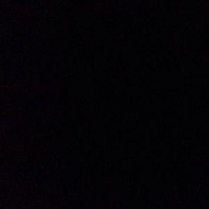 Meet your Posher, Shaylen