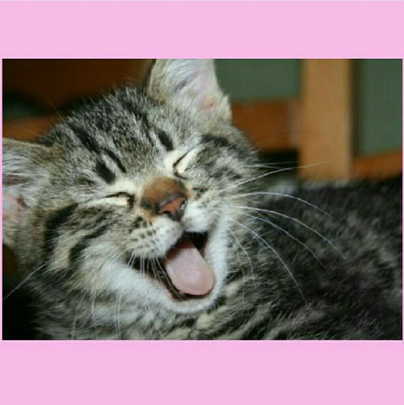 Meet your posher! - Picture 3 of 4