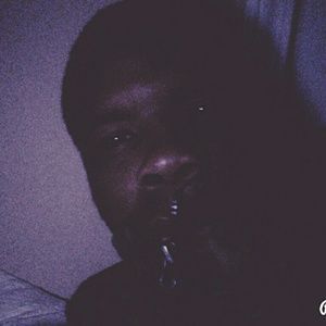 Meet your Posher, Perry