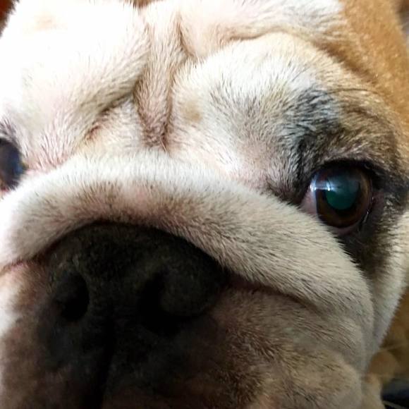 Meet your Posher, Laura