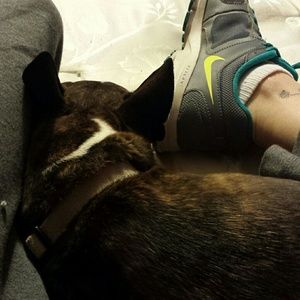 Meet your Posher, Abby