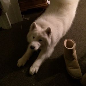 Meet your Posher, Sarah