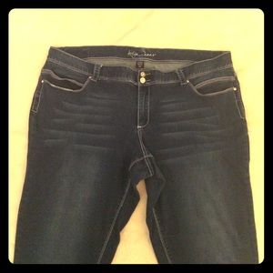 Ariya Plus Size 24 Dark Wash Jeans