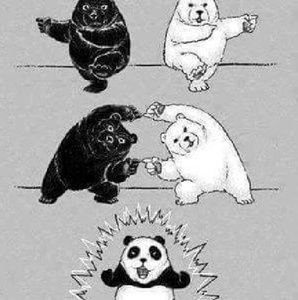 Meet your Posher, Kaleb