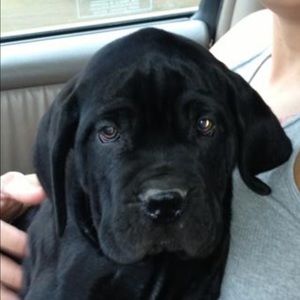 Meet your Posher, Rolando