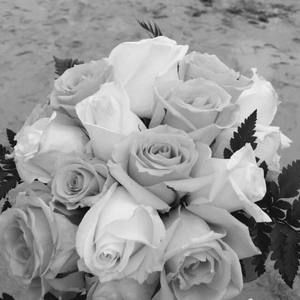 Meet your Posher, Fernanda