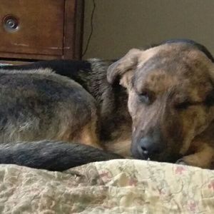 Meet your Posher, Sharon