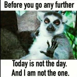 Meet your Posher, Pam