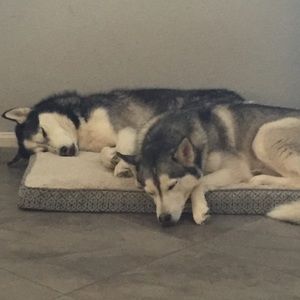 Meet your Posher, Mandy