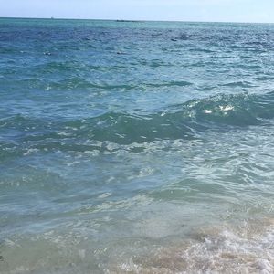 Meet your Posher, Nari