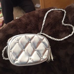 Silver Purse