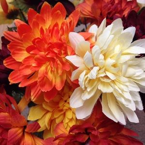 Meet your Posher, Ezzahra