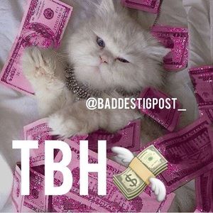 Meet your Posher, Kaylan