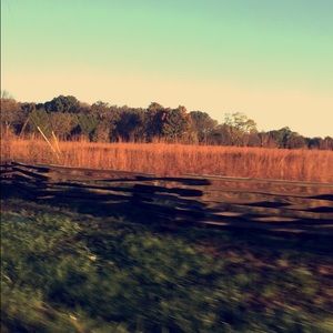 Meet your Posher, Grace