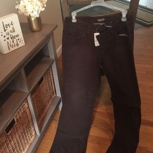 Express corduroy brown pant NWT