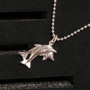 beach bum 🐚🐠🐬 Silver dolphin necklace