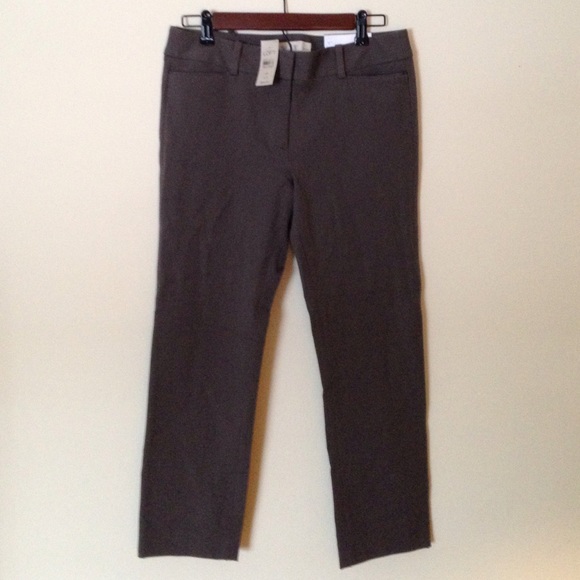 NWT LOFT petites pants