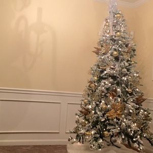 Meet your Posher, Tavia