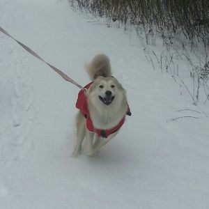 Meet your Posher, Nichole