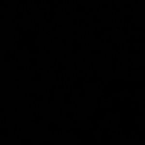 Meet your Posher, Junior