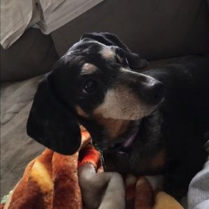 Meet your Posher, Crystal