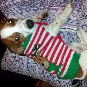 Meet your Posher, Crystal