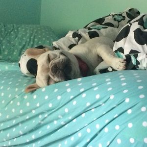 Meet your Posher, Haley