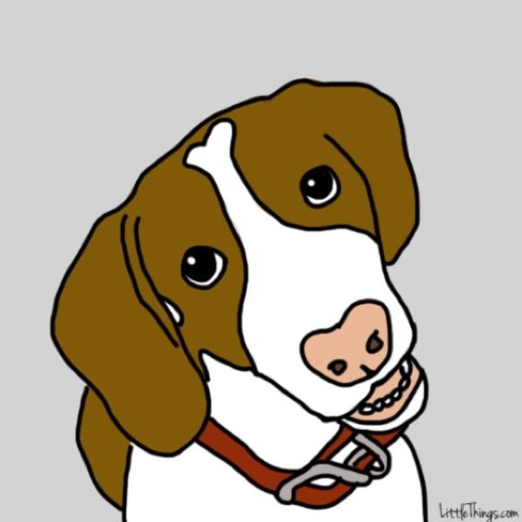 Meet your Posher, Elizabeth - Picture 1 of 1