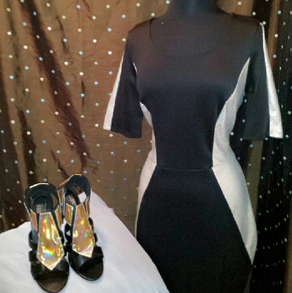 Plus Size Paneled Body Con Dress