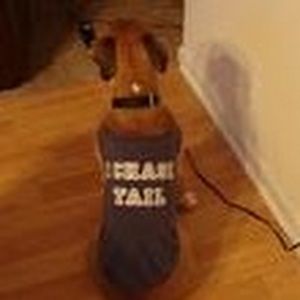 Meet your Posher, Tracy