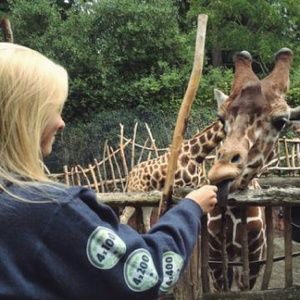 Meet your Posher, Angel