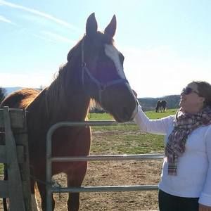 Meet your Posher, Amanda