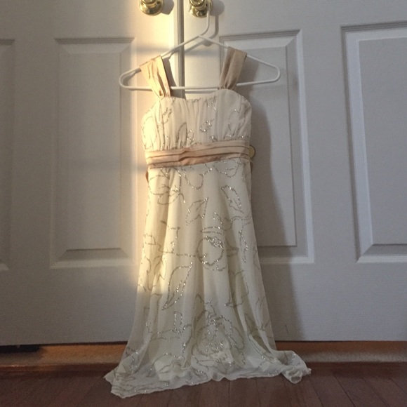 Fancy JC Penny dress