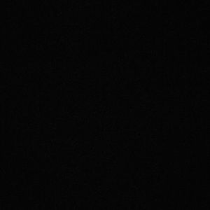 Meet your Posher, Lacey