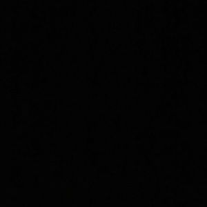 Meet your Posher, Nadia