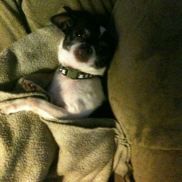 Meet your posher!! - Picture 4 of 4