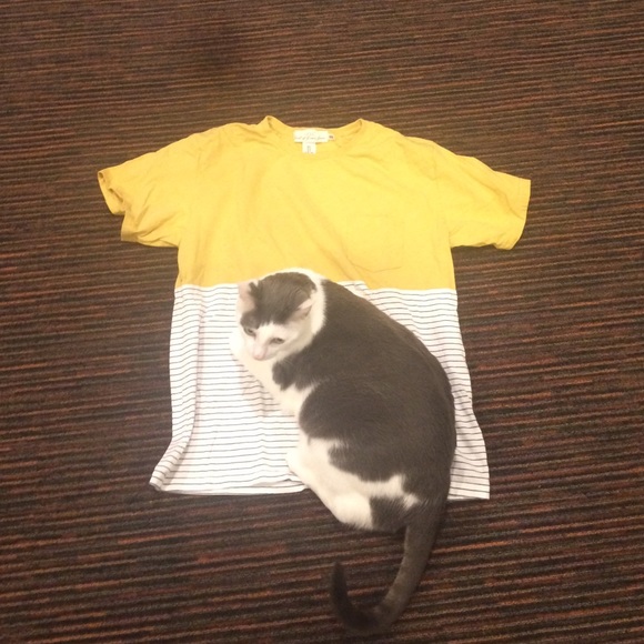 Shirt. Cat not included. - Picture 1 of 3