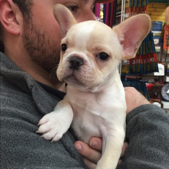 Meet your Posher, Lexi