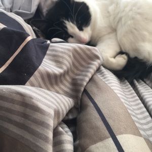 Meet your Posher, Michael